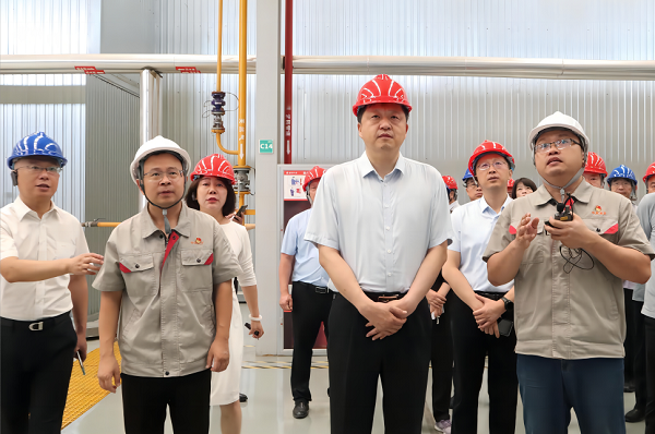 领导现场观摩中集凌宇